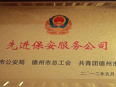 2012年先進保安服務公司 